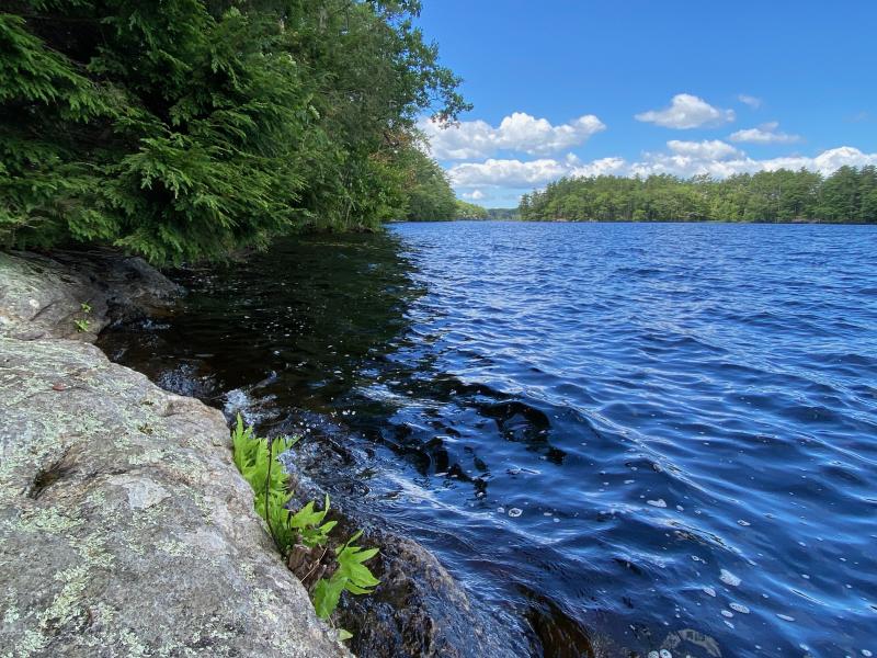Coastal Rivers’ Muscongus Pond Preserve, a 34-acre property in Bremen generously donated by siblings Nancy and John Dean in 2025, offers access to the shoreline of Muscongus Pond in Bremen. Courtesy of Coastal Rivers