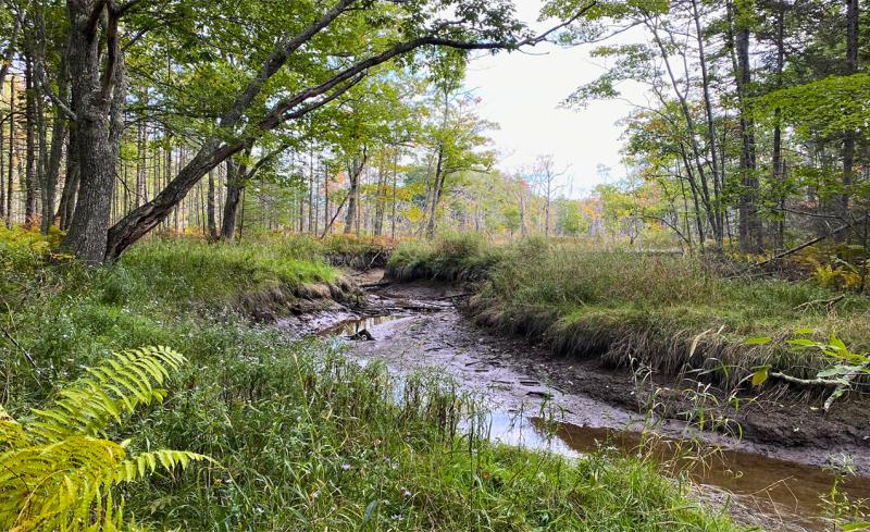 Coastal Rivers’ Salt Bay Farm in Damariscotta. Courtesy photo