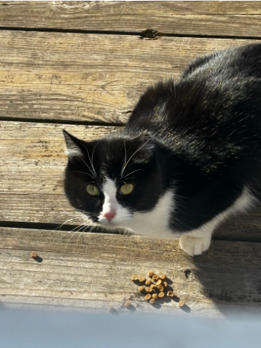 Blakeley (aka Queen)