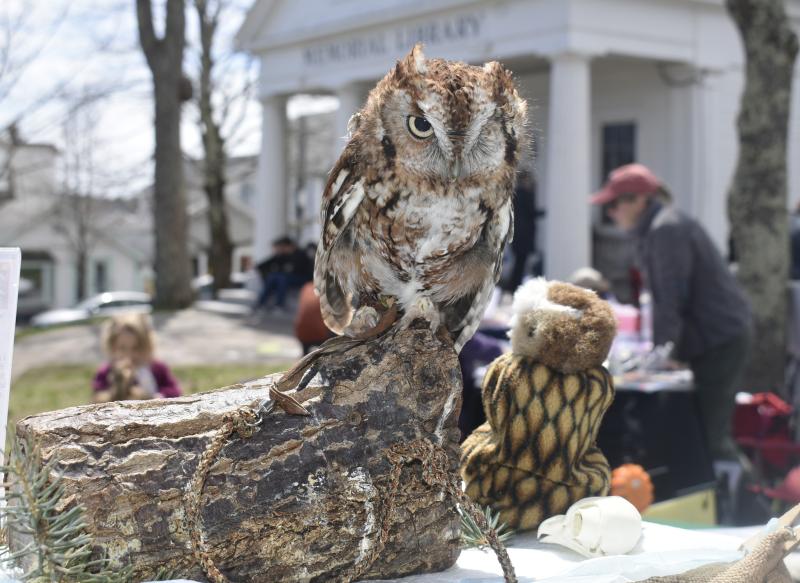 LISA KRISTOFF/Boothbay Register