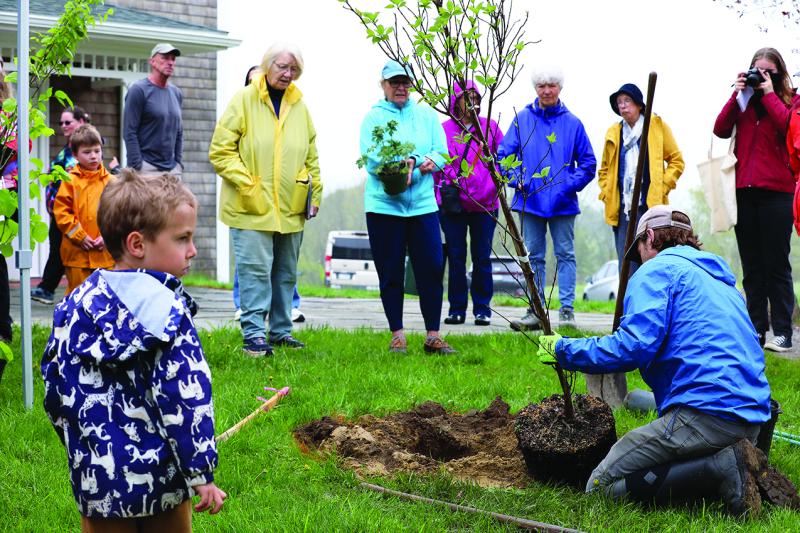 Coastal Rivers Land Steward Brad Weigel demonstrates how to plant a sapling during the 2025 Arbor Day celebration. Courtesy of Kris Christine