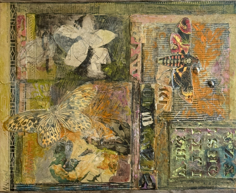 Nancy Nicol's "Bugs" - collage and mixed media on panel. Courtesy of MAG