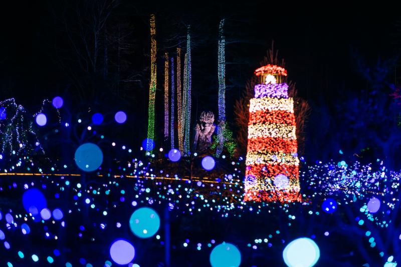 Gardens Aglow 2025. Mat Trogner photo