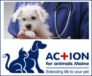 Action For Animals Maine | Boothbay Register Action For Animals Maine | Boothbay Register