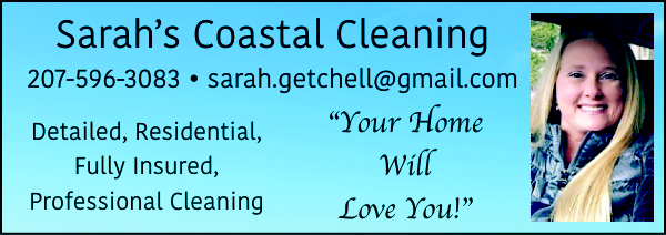 Cleaning Services Ad