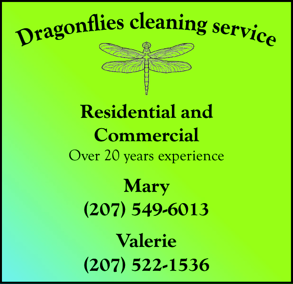 Dragonflies Cleaning Service