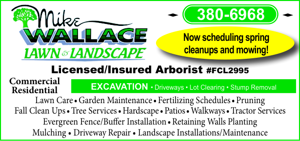 Lawn, Landscape and Tree Services
