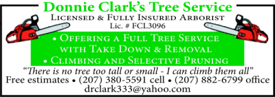 Full Tree Services