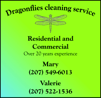 Dragonflies Cleaning Service