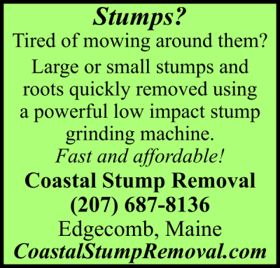 Coastal Stump Removal