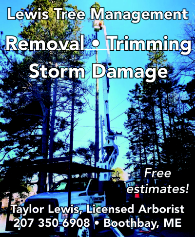 Tree Management Services