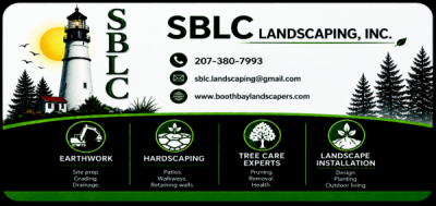 Now Scheduling Winter Tree Work