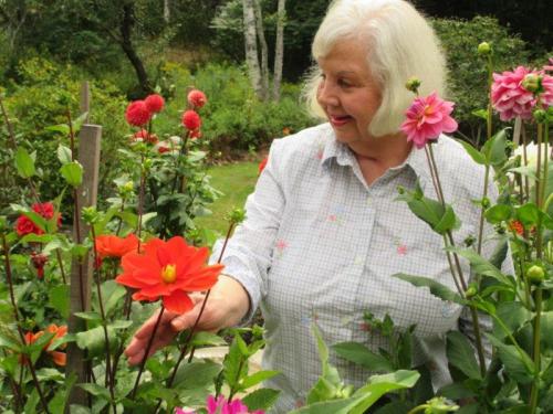 Cottages Resident Flowers