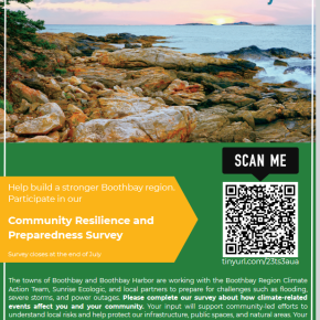 Community survey poster