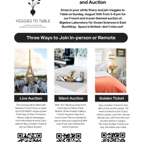 Digital flyer