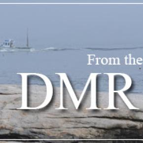 DMR banner for bulletins