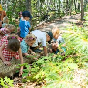 Adventure Camp decomposers. Courtesy of CMBG