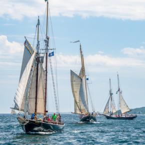  Ben Williamson photo