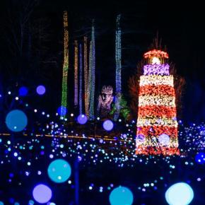 Gardens Aglow 2025. Mat Trogner photo
