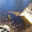 Elver season ended last month, but fishing violations are now being reported and addressed in court.