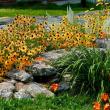Flowers. Courtesy of Robert Mitchell