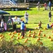 The Pumpkin Patch Express is happening at the Boothbay Railway Village Saturday, Oct. 13 and 20 from 11 a.m. to 2 p.m. Tickets are available at www.railwayvillage.org.