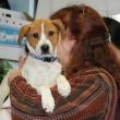 Nancy Pedersen holds Jingles