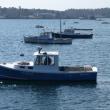 Several lobster boats bob in the calm water off the Fish Pier, while their owners wonder where the summer bait will come from. KATRINA CLARK/Boothbay Register