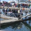 MIKE SCARBOROUGH/Boothbay Register