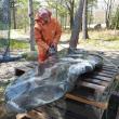 Dick Alden a stone sculptor from Boothbay puts the finishing touches on the Taliana memory bench before it gets installed at the Whale Park in Boothbay Harbor on May 30. RYAN LEIGHTON/Boothbay Register
