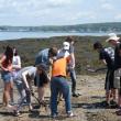 The Pirates dig in the Burnt Island mud flats. KATRINA CLARK/Boothbay Register