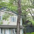 A tree branch snagged in the power lines caused power outages and closed Oak Street in Boothbay Harbor on June 11. RYAN LEIGHTON/Boothbay Register