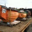 PUMPKINS in the backseat. KIPP WRIGHT/Boothbay Register