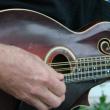 Closeup view of the mandolin-playing of Wiscasset's Chris Lannon. SUSAN JOHNS/Wiscasset Newspaper