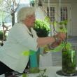 Floral designer and Judges Council member Sandra Leonard, seasonally of Southport, artfully places green chrysanthemums in one of four designs. LISA KRISTOFF/Boothbay Register