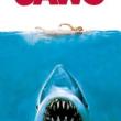 “Jaws”  the movie is a real summer adventure, and this week's pick at Skidompha Library. Mind your toes!