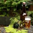 Beer and its component parts are the subject of a highly palatable program at Coastal Maine Botanical Gardens on July 25. Courtesy of Barbara Freeman