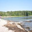 Hendricks Head Beach is a popular spot among tourists and locals alike. The beach, which is technically on private property has been used as a public space for a long time. With the adjoining property for sale, the beach's future is up in the air. BEN BULKELEY/Boothbay Register