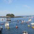 Under sunny skies, Southport Rowgatta paddlers depart from Newagen Harbor to round Southport Island and finish where they begain. SUE MELLO?Boothbay Register