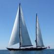 The ‘Marie,’ owned by local philanthropist Dr. Ed Borsarge is a Ketch rigged super yacht. The hull is 126 feet in length and the main mast is 200 feet tall. This year the Marie will premier in its first race at the Shipyard Cup. Courtesy of Keith P. Luke
