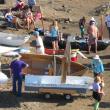 The starting line of the cardboard boat regatta. Courtesy of Tara Hire