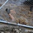Jared Miktus gets swamped. Courtesy of John Mitkus