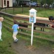 Greeting the Village goats. KEVIN BURNHAM/Boothbay Register