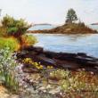 “Asters and Goldenrod Time,” 11" x 14" by Corinne McIntyre