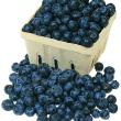 Blueberries