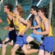 Left to right, Matt Burnham, Joey Paolillo and Kyler Carty began the 2013 cross country season with strong races. SUE MELLO/Boothbay Register
