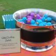 Take a chance at the Ugly Duckling Splash game; will you draw a duck or a swan? KATRINA CLARK/Boothbay Register