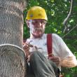 Thomas Hoerth, the City of Bath’s arborist and tree warden.