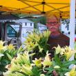 Jim Mercer of Sheepscot Flower Farm with his lillies. SUZI THAYER/Boothbay Register