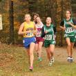 Hannah Morley finished third for BRHS and 14th overall at 22:41. SUE MELLO/Boothbay Register